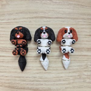Magnet Flexi : Cavalier King Charles